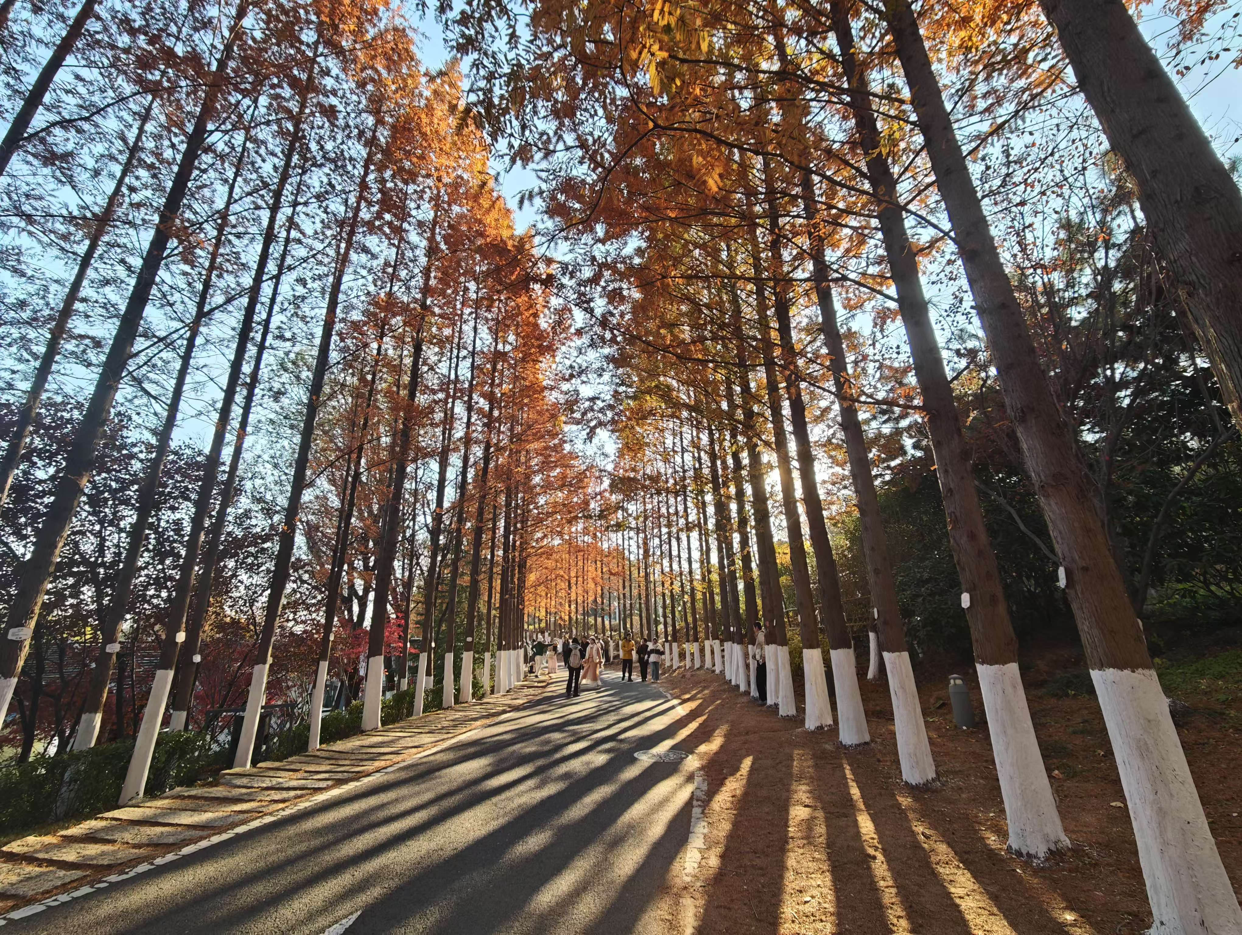 女友刁蛮任性该如何应对